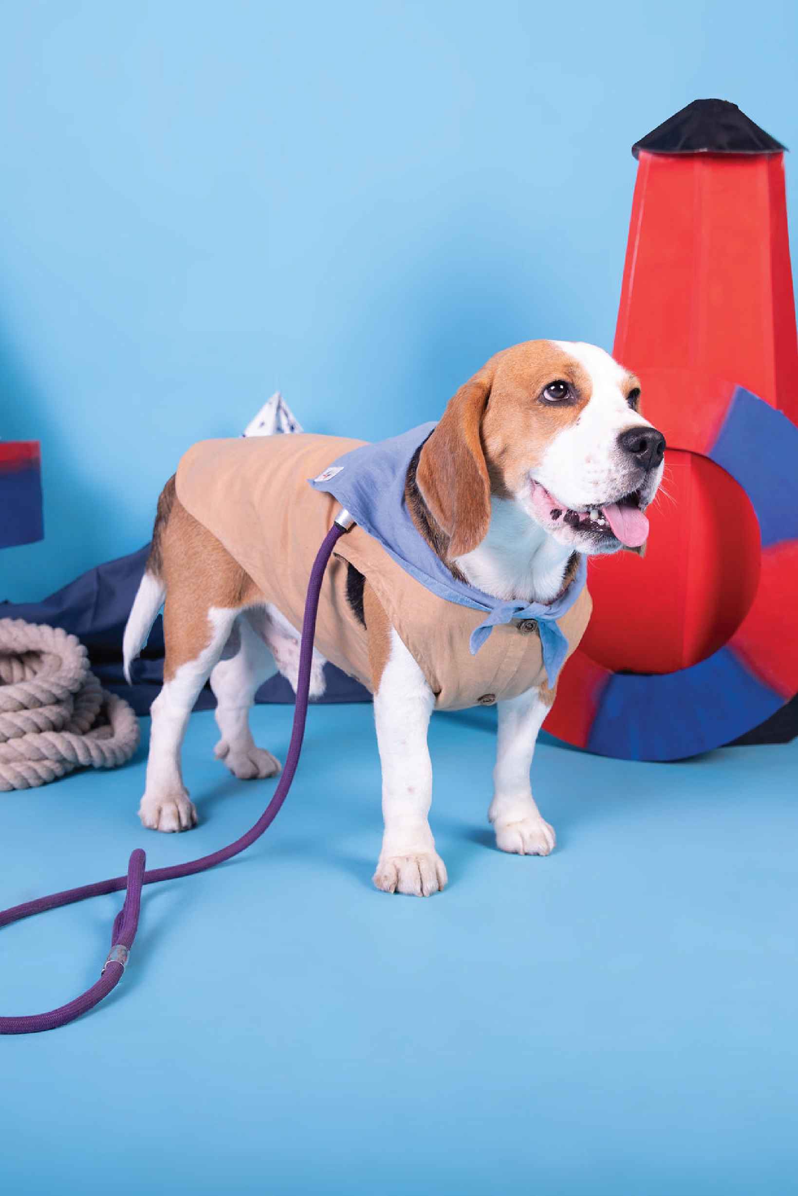 Waffles on adventure